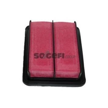 PURFLUX Luftfilter A302