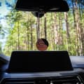 Pikkukuva 3 / 4: Auton ilmanraikastin Dr Marcus Twist Wild Fusion Puu Tuoksu Riipukset