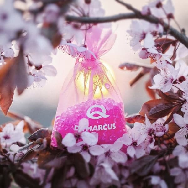 Auton ilmanraikastin Dr Marcus Fresh Bag Purukumi Tuoksu Pieni laukku