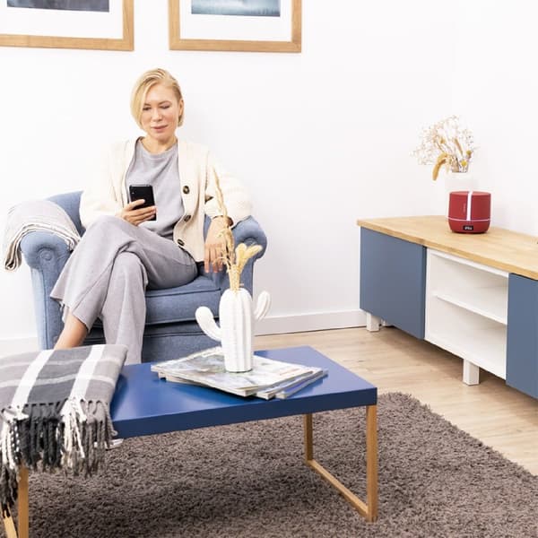 Cecotec Aromi Diffuusori Purearoma 550 Connected Garnet Punainen