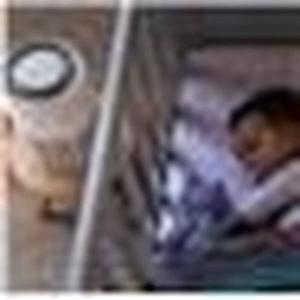 Luftrenser Philips AC0920/10 Hvid