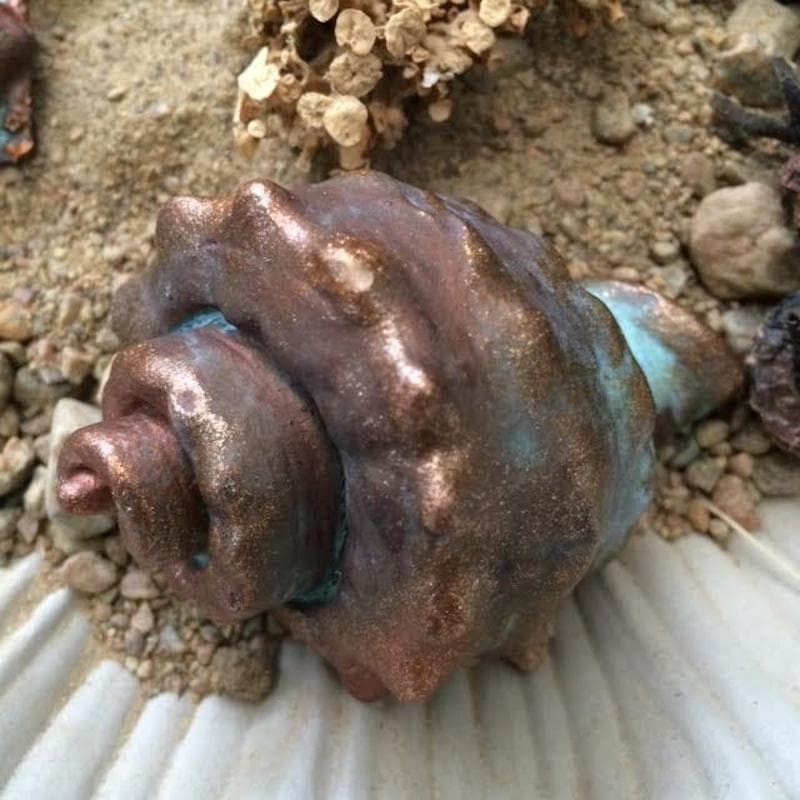 Mold - Seashell D