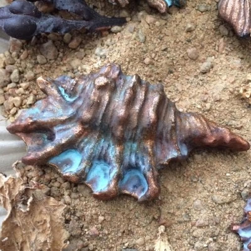 Mold - Seashell F