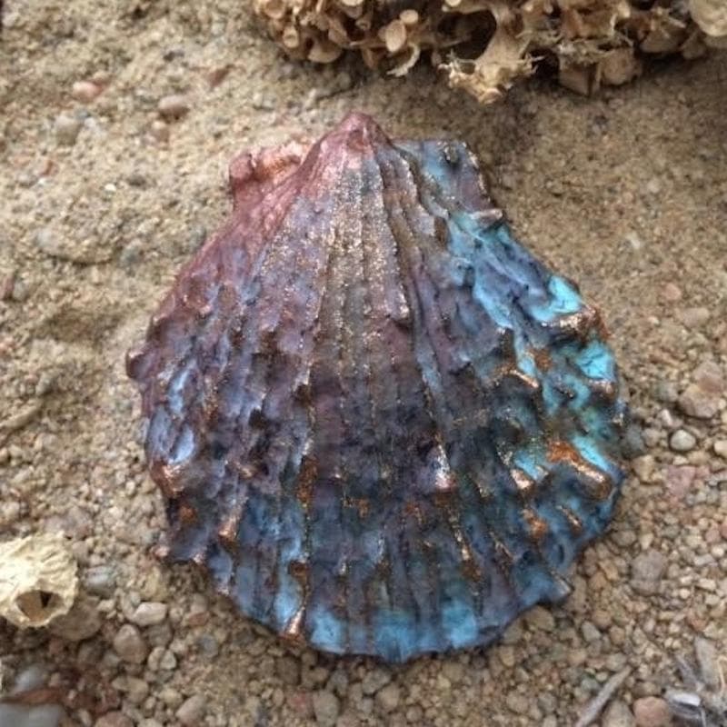 Mold - Seashell E