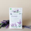 Pikkukuva 1 / 3: Scented Sachet Lavender