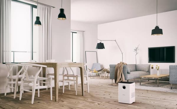 Boneco luftfugter W200