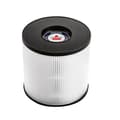 Pikkukuva 2 / 4: Bissell Filter For Myair HEPA & Carbon Filter