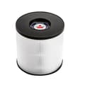 Pikkukuva 1 / 4: Bissell Filter For Myair HEPA & Carbon Filter