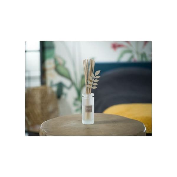 Doftspray för inomhusbruk - Refill doftbukett vit bomull 250 ml - Esteban