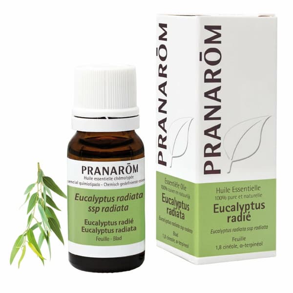 Eterisk olje Pranarôm   Eucalyptus 10 ml