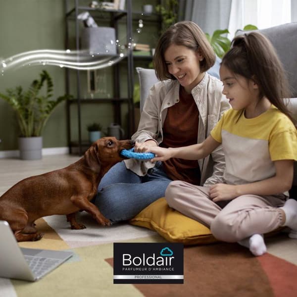 BOLDAIR ANIMAL DOUR DESTROYER 500ML SPADO