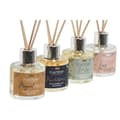 Miniatyrbillede 4 af 4: Luftfrisker Home ESPRIT Urban 50 ml (4 enheder)