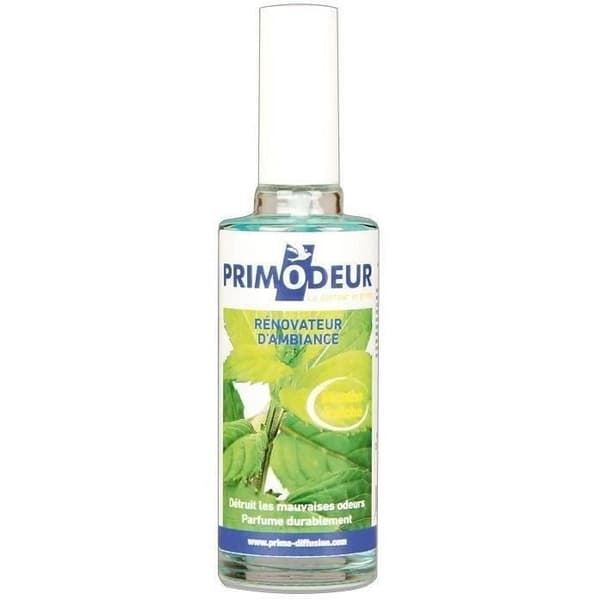 Rumsspray 50ml mynta