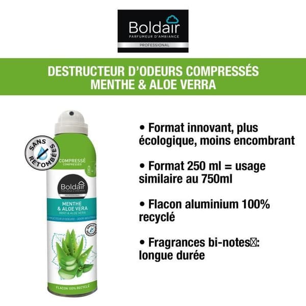 BOLDAIR - Luktförstörare och parfymörer - Komprimerat format - Doft av mynta och aloe vera -250 ML - Fransk tillverkning