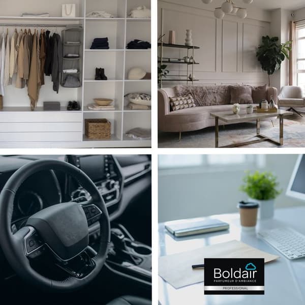 BOLDAIR - Gel förstörande av lukt Karité monoï - Neutraliserar dofter - parfum - varaktighet 8 veckor - 300g - Tillverkad i Frankrike