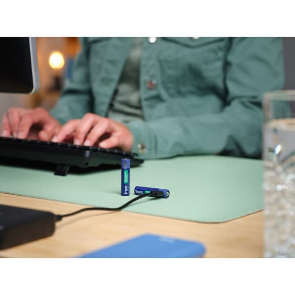 Batterier Trust 25585 500 mAh AAA 3,7 V (2 enheder)
