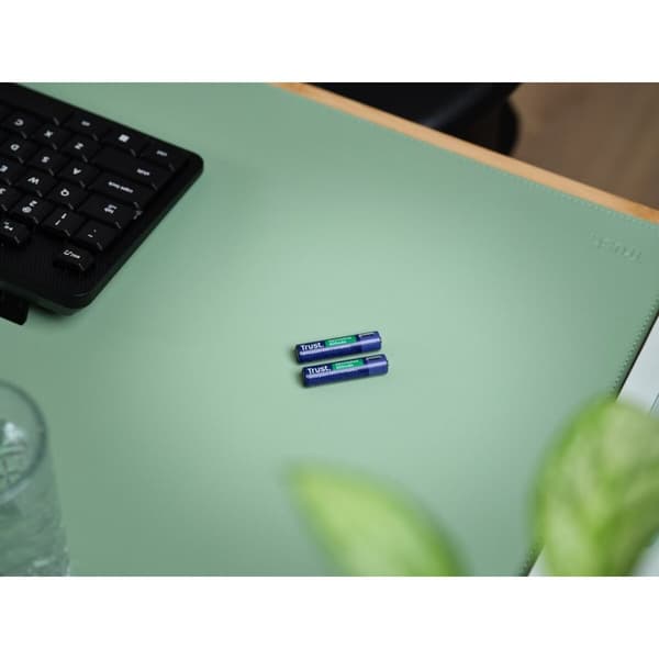Batterier Trust 25585 500 mAh AAA 3,7 V (2 enheder)