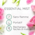 Miniatyrbild 3 av 4: Airwick Essential Oil Diffuser Refills Essential Mist Jasmin/Peony Scent 20 ML, förpackning med 3