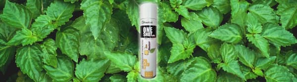 Lugtneutralisator, Patchouli 600ml ONE SHOT