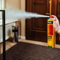 Miniatyrbild 6 av 11: Luktneutralisator för sandelträ 600ml EN SHOT