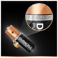 Miniatyrbillede 5 af 6: Oplader + genopladelige batterier DURACELL CEF14 2 x AA + 2 x AAA HR06/HR03 1300 mAh (1 enheder)