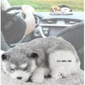 Miniatyrbild 3 av 4: TD® Husky Dog Air Purifier Bil Hemmakontor Luftfräschare Luftfuktare Baby Plush Permanent Lukt Neutralizer
