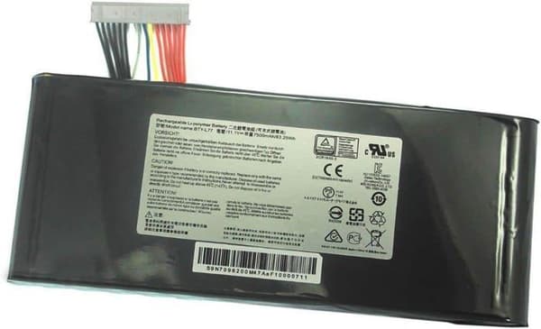 Coreparts Computer Power Bank - MBXMSI-BA0005