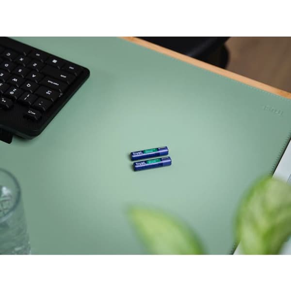 25585 Pack med 2 uppladdningsbara USB-C Trust AAA-batterier - 500mAh (LR03)