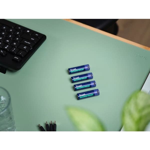 25631 Paket med 4 uppladdningsbara USB-C-batterier Trust typ AA - 1700 mAh - Laddningskabel ingår (R06)