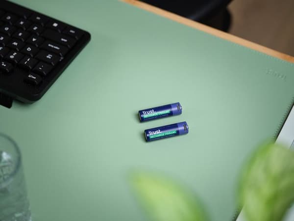 25584 Pack med 2 USB-C uppladdningsbara batterier Trust typ AA - 1700 mAh (R06)