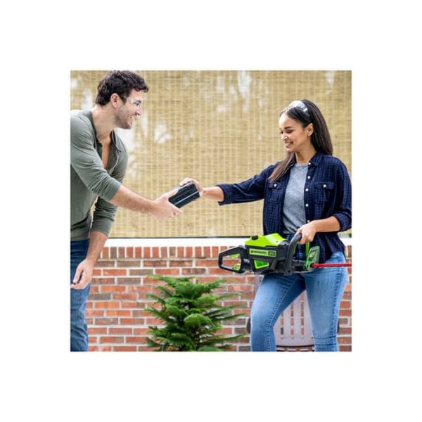 GREENWORKS batteri G60B5 60V 5Ah - 2944907