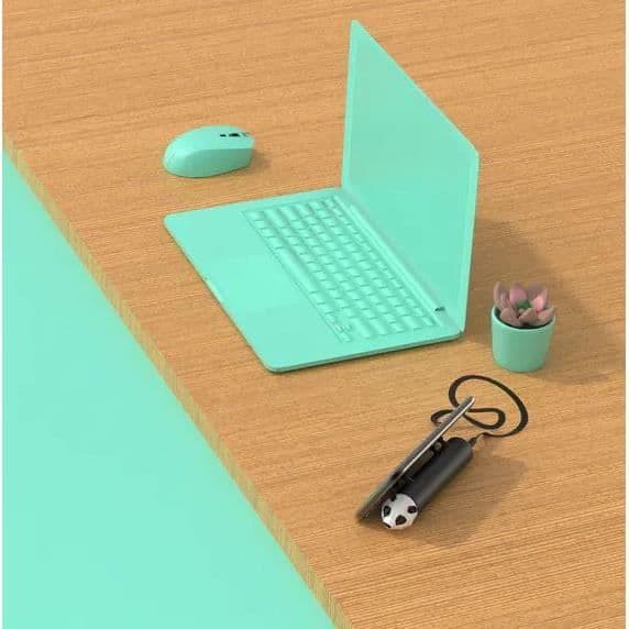 Batteri Power Pets - MOBILITET OM BORD - 4800 mAh - 4 sugkopp - USB-A och Typ C-kabel ingår