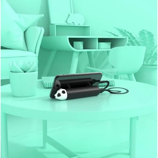 Batteri Power Pets - MOBILITET OM BORD - 4800 mAh - 4 sugkopp - USB-A och Typ C-kabel ingår