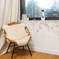 Miniatyrbild 3 av 5: STARWAX Antimögelväggar och vardagsrum - 500 ml