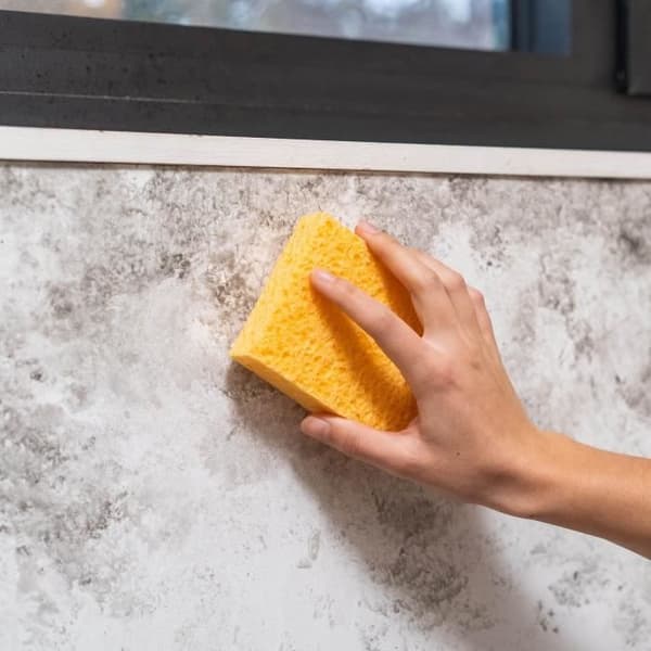 STARWAX Antimögelväggar och vardagsrum - 500 ml