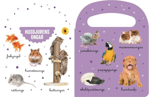 Titta & lära Djurungar Pekbok