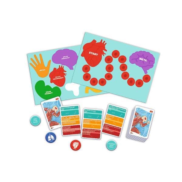 The human body / game Knowledge Master Trefl 01957