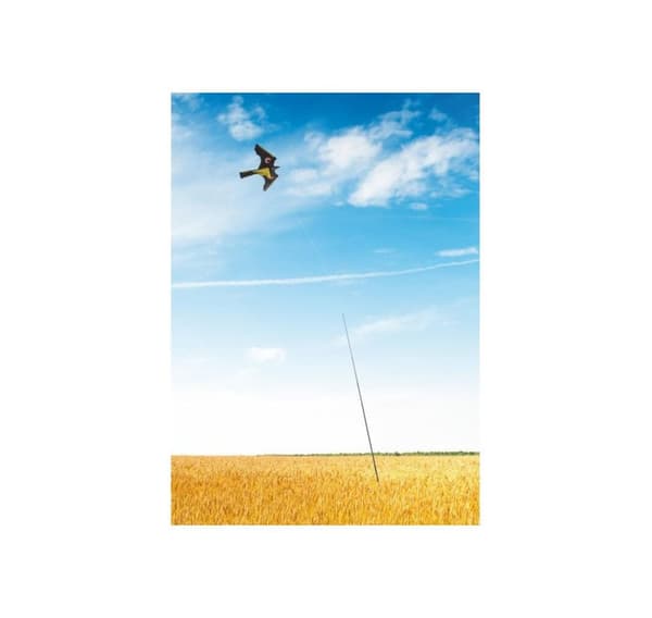 Tarmo Bird Scarer Kite 5m
