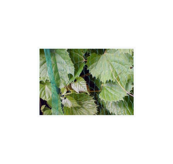 FUGLENETT 10g/m2 19x19mm 4x10m