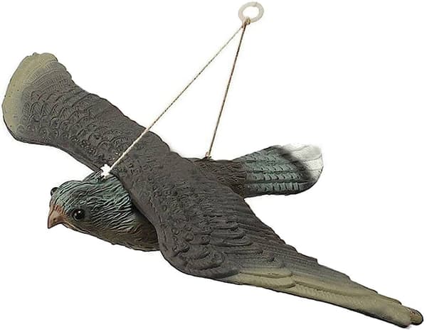 Fågel avskräckande starar duvor gnagare falk