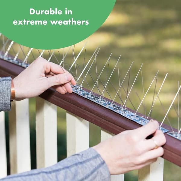 Fågelpiggar 3m 24-pack HOMARDEN