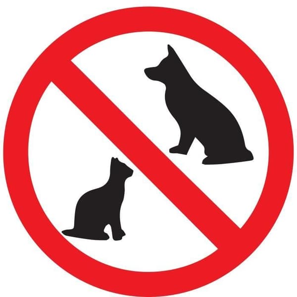 Hund- och kattavstötande granulat - ACTO - 1 kg långvarig
