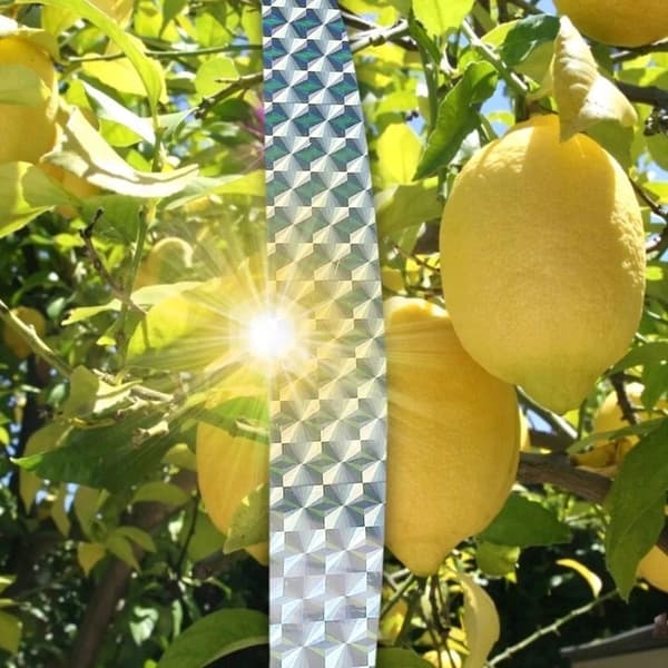 Heijastava lintukarkoteippi 50m puutarhasuoja REPELLENT REFLECTIVE