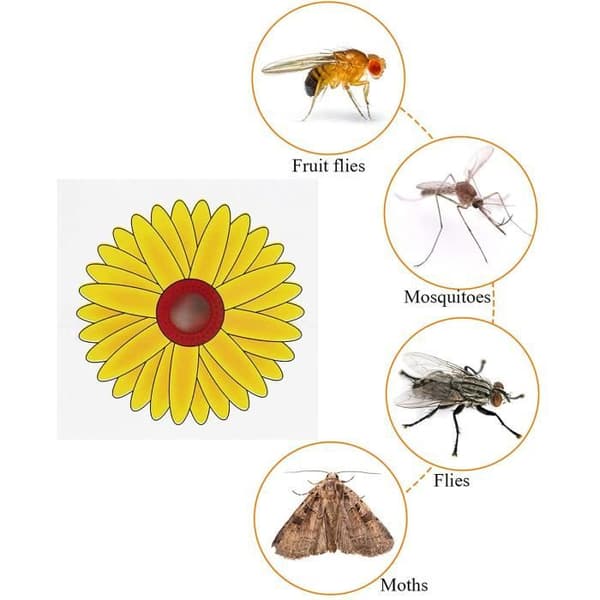 18st Autocollant för Fönsterflugefälla, Insektsfälla i Solrosdesign, Vattentät Dubbel Handsfångare