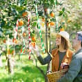 Pikkukuva 4 / 7: Lollanda heijastava variksenpelätinteippi, kestävä, koristeellinen, säänkestävä, käytännöllinen, joustava, helppo asentaa puutarhoihin