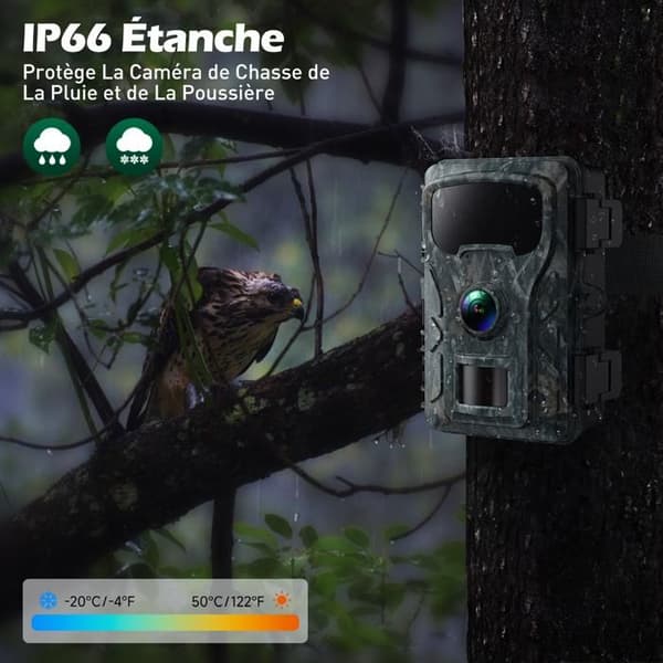 CAMPARK 4K 40MP jaktkamera - Nattseende - 0.1s trigger - IP66 - 2'' LCD