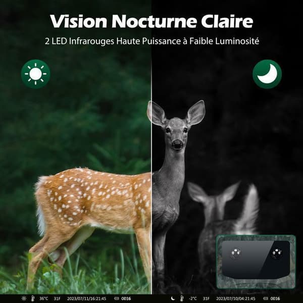 CAMPARK 4K 40MP jaktkamera - Nattseende - 0.1s trigger - IP66 - 2'' LCD