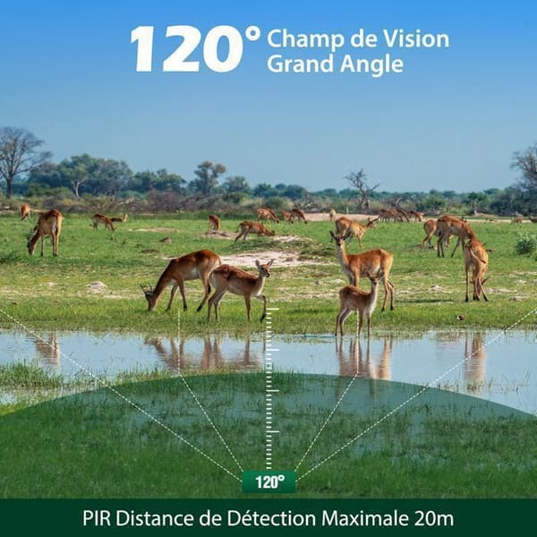 CAMPARK 4K 40MP jaktkamera - Nattseende - 0.1s trigger - IP66 - 2'' LCD