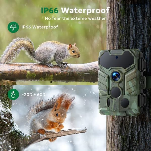 CAMPARK Viltkamera WiFi Bluetooth 1080P 32MP, 0.1s utlösare, Nattseende, IP66