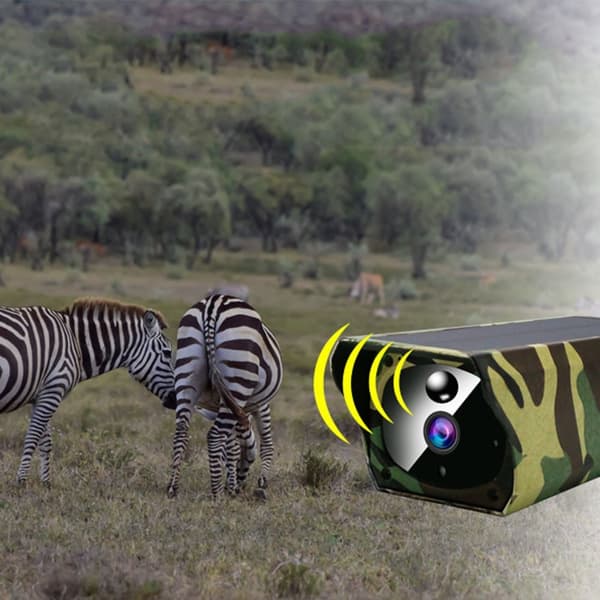 TD® Outdoor Camouflage Solar Camera 2 Million Pixel WiFi Remote Vattentät övervakningskamera